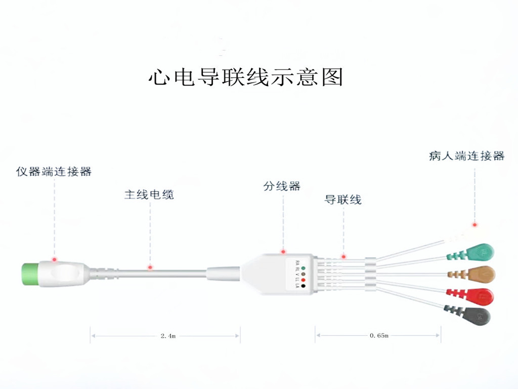 午夜福利视频心电导联线